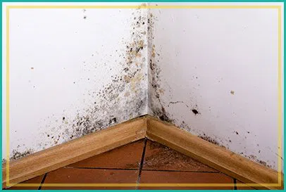 Fort Lauderdale Restoration Expert Fort Lauderdale, FL 954-363-0411 Fort Lauderdale Restoration Expert Fort Lauderdale, FL 954-363-0411 - city-img-4