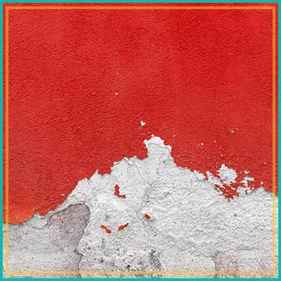 Fort Lauderdale Restoration Expert Fort Lauderdale, FL 954-363-0411 - content-mold