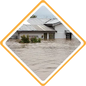 Fort Lauderdale Restoration Expert, Fort Lauderdale, FL 954-363-0411