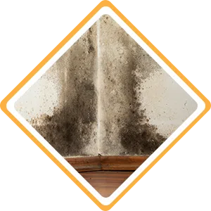 Fort Lauderdale Restoration Expert, Fort Lauderdale, FL 954-363-0411