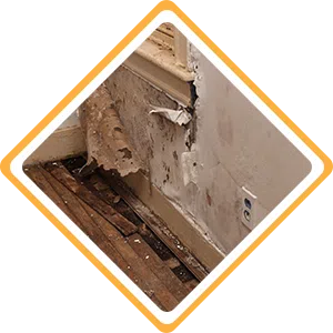 Fort Lauderdale Restoration Expert, Fort Lauderdale, FL 954-363-0411